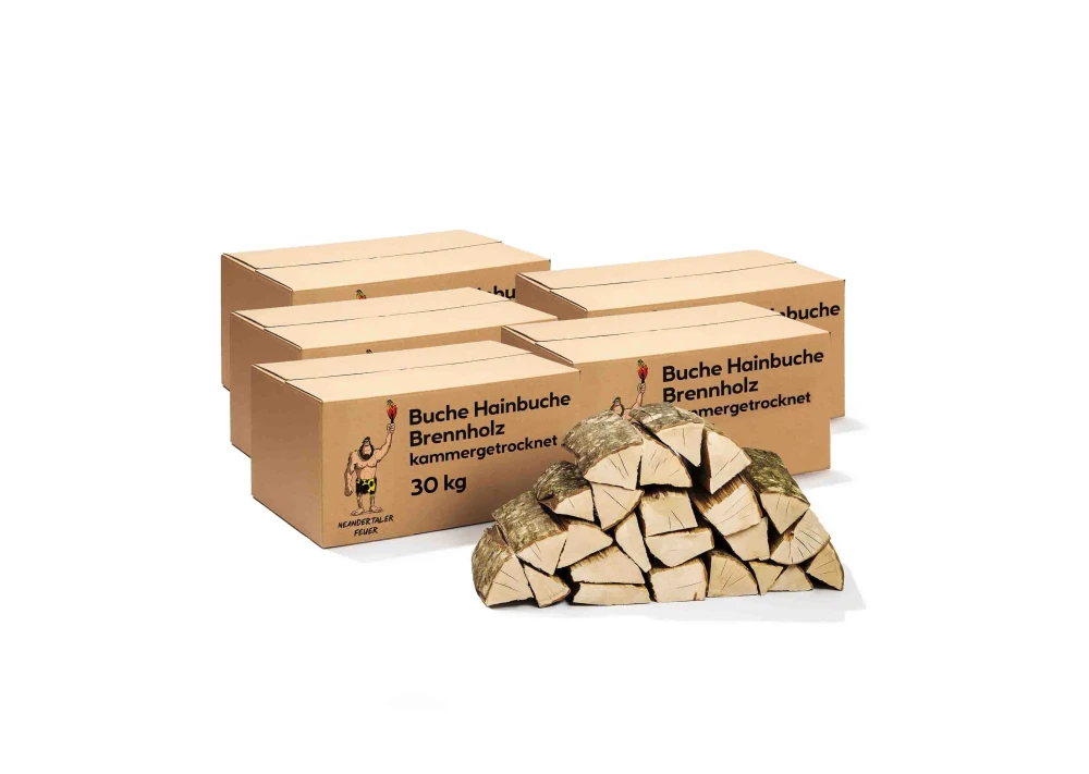 1-1-4.webp Brennholz Buche Hainbuche 150kg – Bild 1